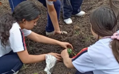 Huerta de Saberes «Ziguazinsa»